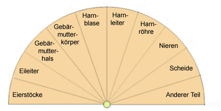 Pendeltafel zu den weibl. Harn- und Geschlechtsorganen